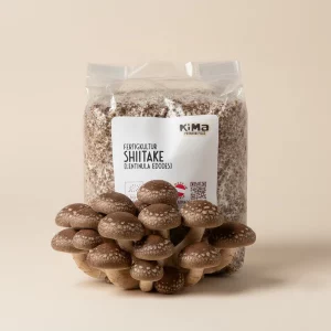 KiMa Fertigkultur Shiitake