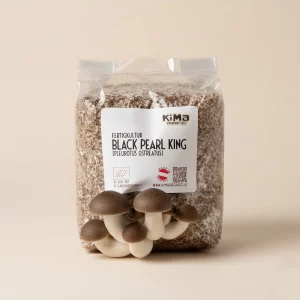 KiMa Fertigkultur Black Perl King