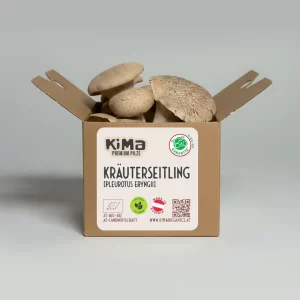 Frische Bio Kräuterseitlinge 200g